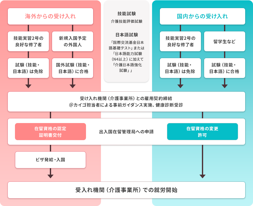 海外からまたは国内からの受入れのに関わらず技能と日本語の試験に合格した外国籍の方、または技能実習２号の良好な修了者は受け入れ機関との雇用契約を締結します。@カイゴ担当者による事前ガイダンスを実施し健康診断を受けます。その後、海外からの受け入れの場合にビザを発給し入国、国内からの受け入れの場合は在留資格を変更し、受入れ機関でのでの就労を開始します。