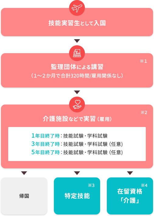 技能実習生として入国後、管理団体による講習を1～2ヵ月で合計320時間に受けます。その後介護施設などで3～5年の実習を受け、帰国するか特定技能(※3)か在留資格｢介護(※4)｣へ切り換えるか選択をすることになります。